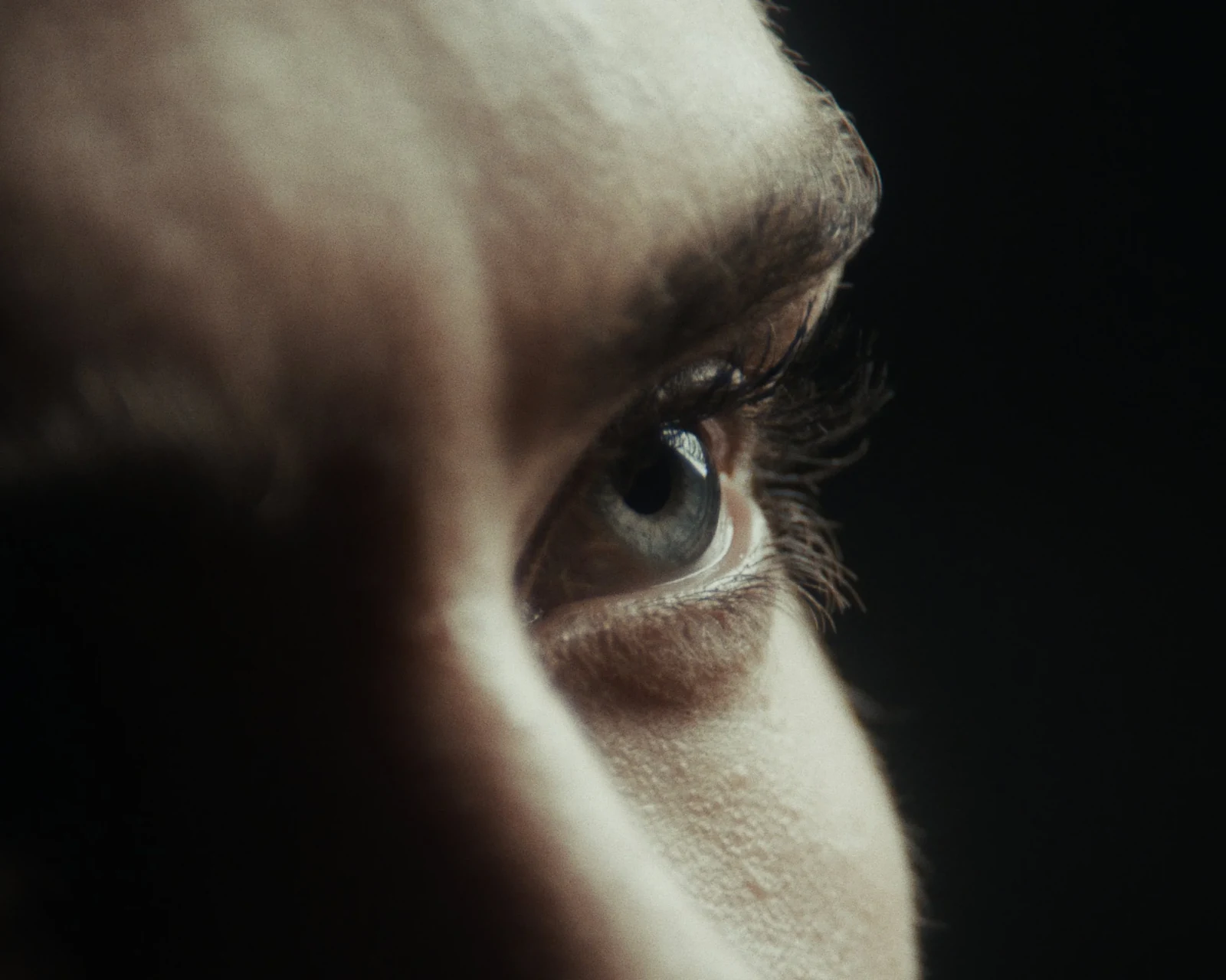 Crossing - still 2